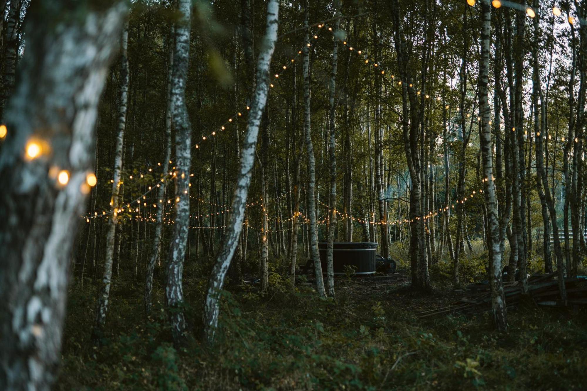 Czas Na Las Zarnowska Bagian luar foto