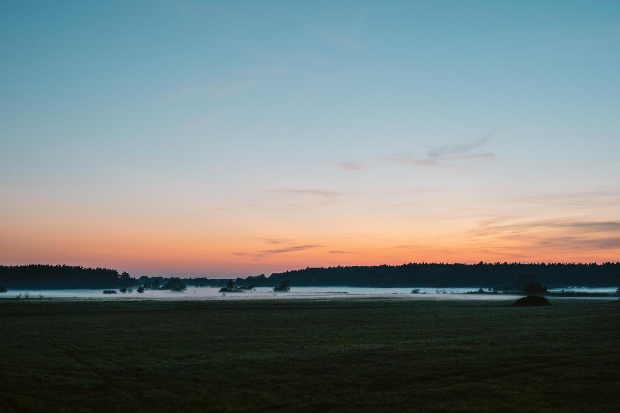Czas Na Las Zarnowska Bagian luar foto